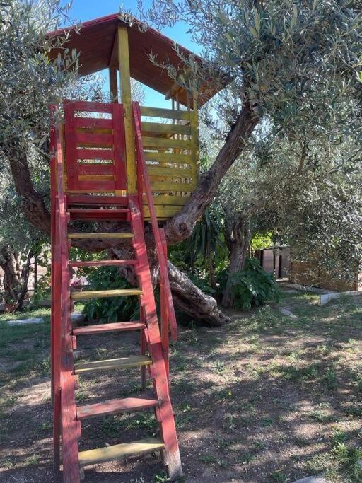 Apartamento La Dimora Delle Rose Passignano sul Trasimeno Exterior foto