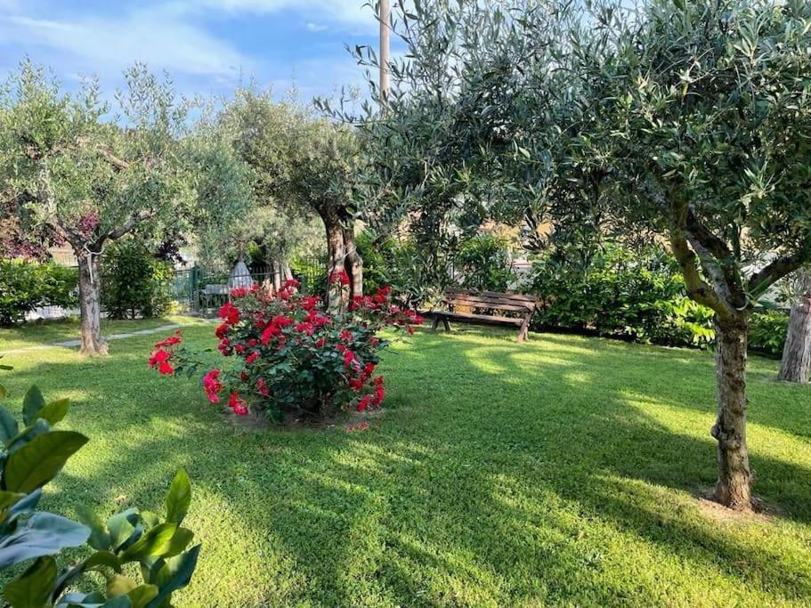 Apartamento La Dimora Delle Rose Passignano sul Trasimeno Exterior foto